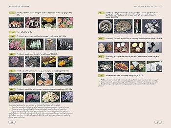 洋書 Mushrooms Amazon.co.jp: The Illustrated Book of Mushrooms and Fungi